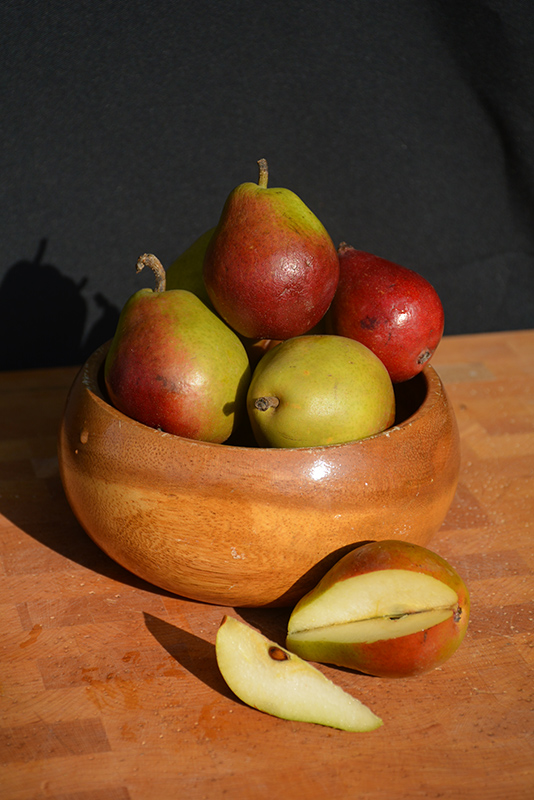 Seckel Pear (Pyrus communis 'Seckel') at Newcastle Fruit & Produce